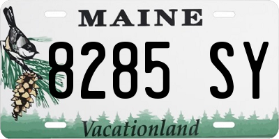ME license plate 8285SY