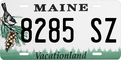 ME license plate 8285SZ
