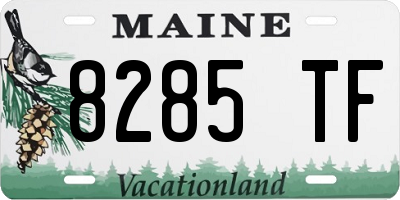 ME license plate 8285TF