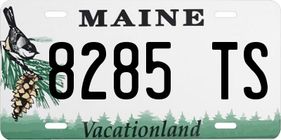 ME license plate 8285TS