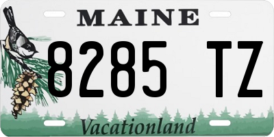 ME license plate 8285TZ