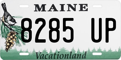 ME license plate 8285UP