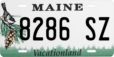 ME license plate 8286SZ