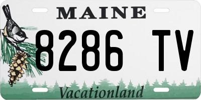 ME license plate 8286TV