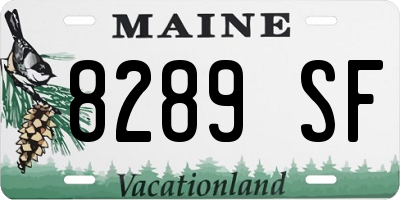 ME license plate 8289SF