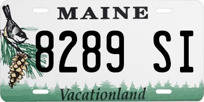 ME license plate 8289SI