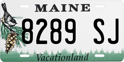 ME license plate 8289SJ