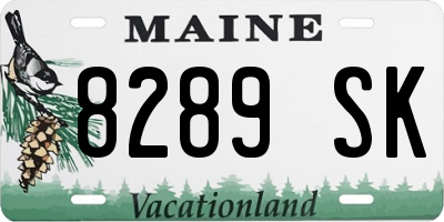 ME license plate 8289SK