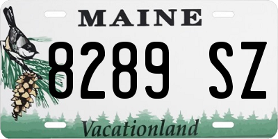 ME license plate 8289SZ