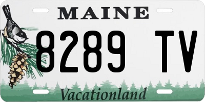ME license plate 8289TV