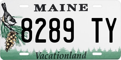 ME license plate 8289TY