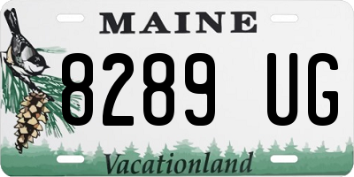 ME license plate 8289UG