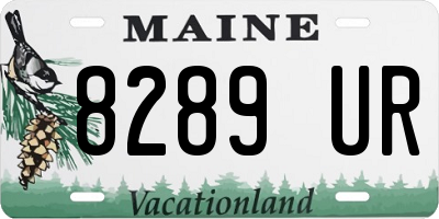 ME license plate 8289UR