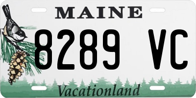 ME license plate 8289VC