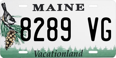ME license plate 8289VG
