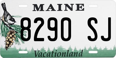 ME license plate 8290SJ