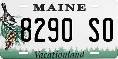 ME license plate 8290SO