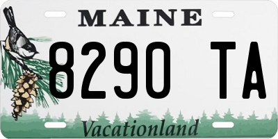 ME license plate 8290TA
