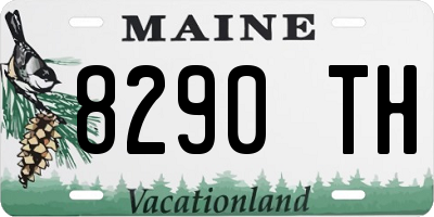 ME license plate 8290TH