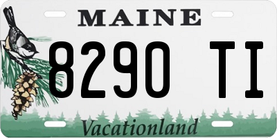 ME license plate 8290TI