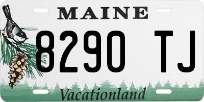 ME license plate 8290TJ