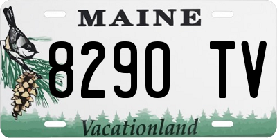 ME license plate 8290TV