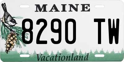 ME license plate 8290TW