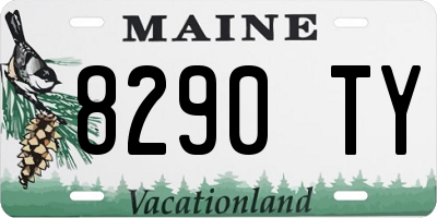 ME license plate 8290TY
