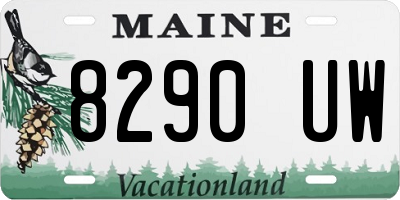 ME license plate 8290UW