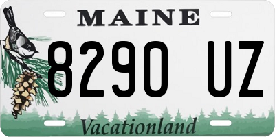ME license plate 8290UZ