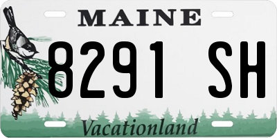 ME license plate 8291SH