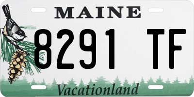 ME license plate 8291TF