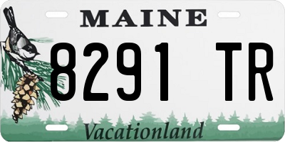 ME license plate 8291TR