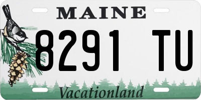 ME license plate 8291TU