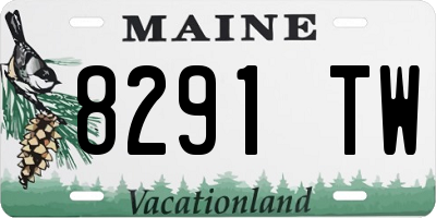 ME license plate 8291TW