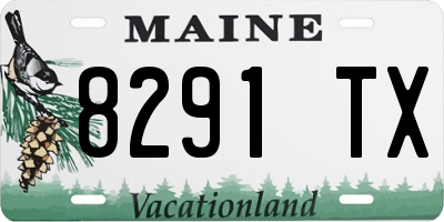ME license plate 8291TX