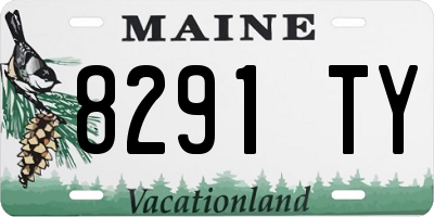 ME license plate 8291TY