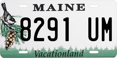 ME license plate 8291UM