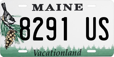 ME license plate 8291US