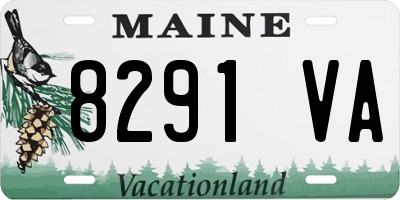 ME license plate 8291VA