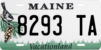 ME license plate 8293TA