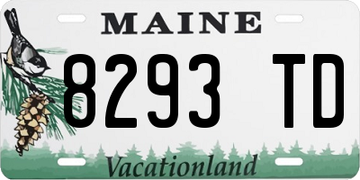 ME license plate 8293TD