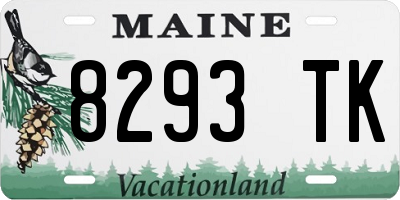 ME license plate 8293TK