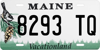 ME license plate 8293TQ
