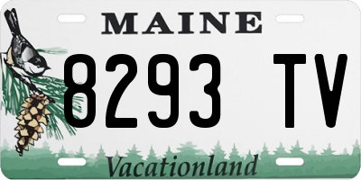 ME license plate 8293TV