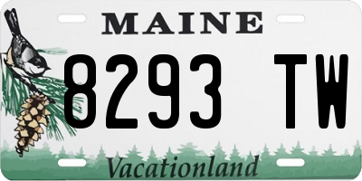 ME license plate 8293TW