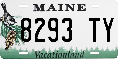 ME license plate 8293TY