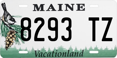 ME license plate 8293TZ