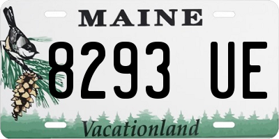 ME license plate 8293UE