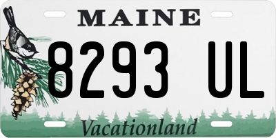 ME license plate 8293UL